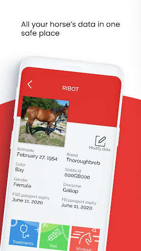 Run android online APK Myequusteam - your horses always under control from MyAndroid or emulate Myequusteam - your horses always under control using MyAndroid Run android online APK Myequusteam - your horses always under control from MyAndroid or emulate Myequusteam - your horses always under control using MyAndroid