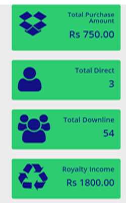 Emulate Android APK My Evergreen Future