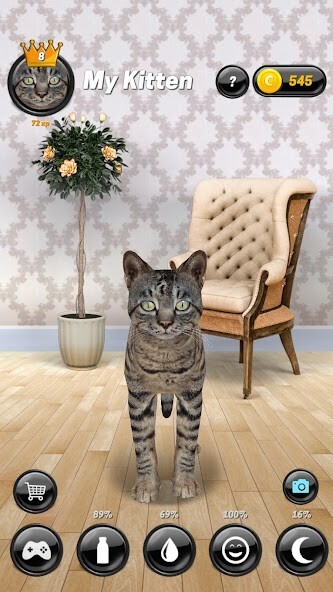 Run android online APK My Kitten (Virtual Pet) from MyAndroid or emulate My Kitten (Virtual Pet) using MyAndroid Run android online APK My Kitten (Virtual Pet) from MyAndroid or emulate My Kitten (Virtual Pet) using MyAndroid