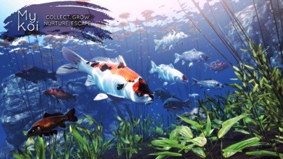 Emulate iPhone app My Koi using MyAndroid Emulate iPhone app My Koi using MyAndroid