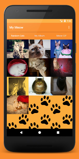 Run android online APK My Meow - Cat photos and Gifs browser from MyAndroid or emulate My Meow - Cat photos and Gifs browser using MyAndroid