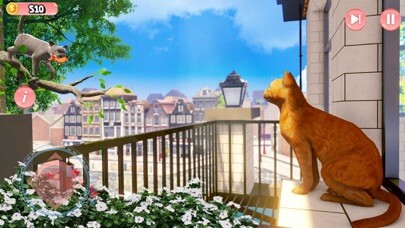 Emulate iPhone app My Pet Cat Island Simulator 3D using MyAndroid