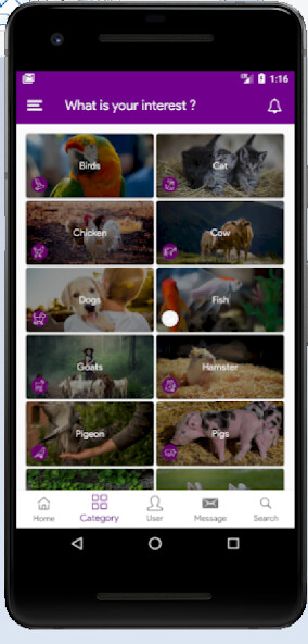 Run android online APK My Pets Club from MyAndroid or emulate My Pets Club using MyAndroid