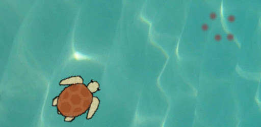 Run android online APK My Pet Turtle from MyAndroid or emulate My Pet Turtle using MyAndroid Run android online APK My Pet Turtle from MyAndroid or emulate My Pet Turtle using MyAndroid