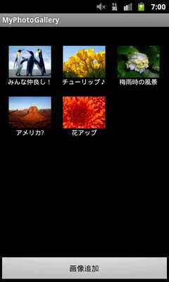 Emulate Android APK My Photo Gallery Emulate Android APK My Photo Gallery