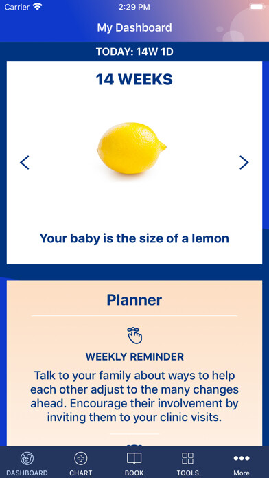 Emulate iPhone app My Pregnancy A to Z Journal using MyAndroid Emulate iPhone app My Pregnancy A to Z Journal using MyAndroid