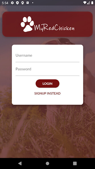 Run android online APK My Red Chicken from MyAndroid or emulate My Red Chicken using MyAndroid Run android online APK My Red Chicken from MyAndroid or emulate My Red Chicken using MyAndroid