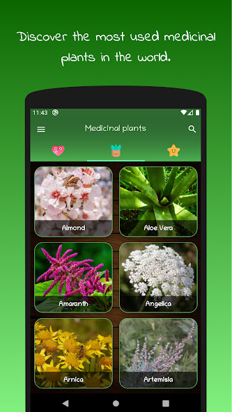 Run android online APK myRemedy: Medicinal plants from MyAndroid or emulate myRemedy: Medicinal plants using MyAndroid