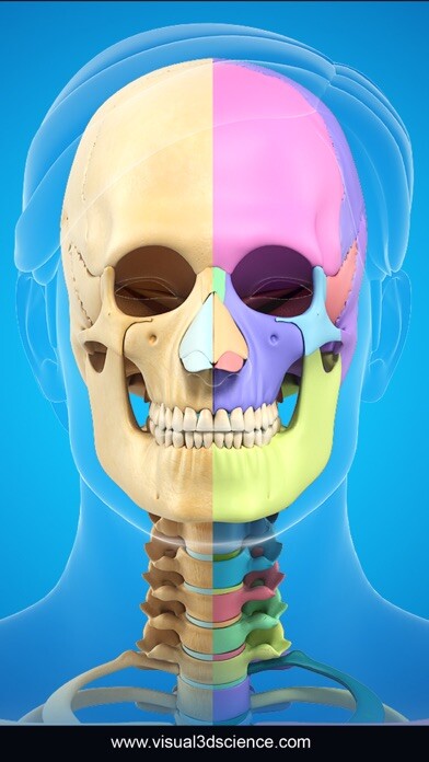 Emulate iPhone app My Skull Anatomy using MyAndroid Emulate iPhone app My Skull Anatomy using MyAndroid