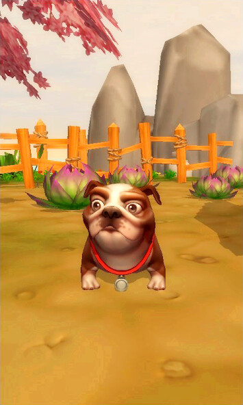 Run android online APK My Talking Dogs from MyAndroid or emulate My Talking Dogs using MyAndroid Run android online APK My Talking Dogs from MyAndroid or emulate My Talking Dogs using MyAndroid