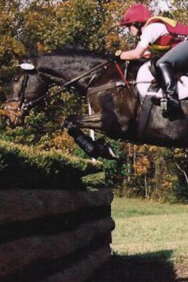 Emulate Android APK My Virtual Eventing Coach Emulate Android APK My Virtual Eventing Coach