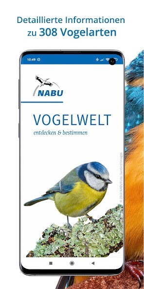 Run android online APK NABU Vogelwelt Vögel Bestimmen from MyAndroid or emulate NABU Vogelwelt Vögel Bestimmen using MyAndroid Run android online APK NABU Vogelwelt Vögel Bestimmen from MyAndroid or emulate NABU Vogelwelt Vögel Bestimmen using MyAndroid