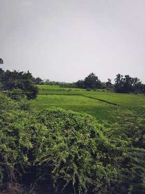 Emulate Android APK NaduKallur Emulate Android APK NaduKallur