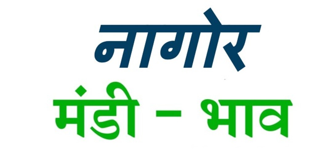 Run android online APK Nagaur Mandi Bhav Today from MyAndroid or emulate Nagaur Mandi Bhav Today using MyAndroid Run android online APK Nagaur Mandi Bhav Today from MyAndroid or emulate Nagaur Mandi Bhav Today using MyAndroid
