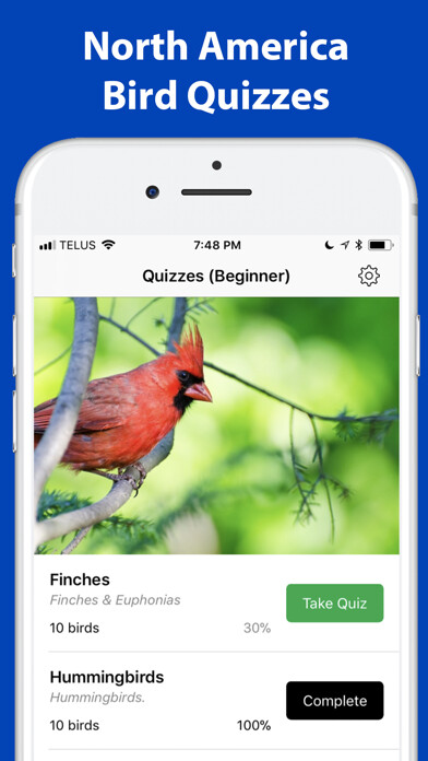 Emulate iPhone app Name the bird! using MyAndroid