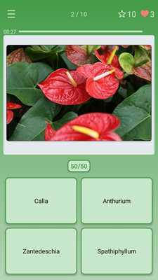 Emulate Android APK Name the Plant (House, Garden) Emulate Android APK Name the Plant (House, Garden)