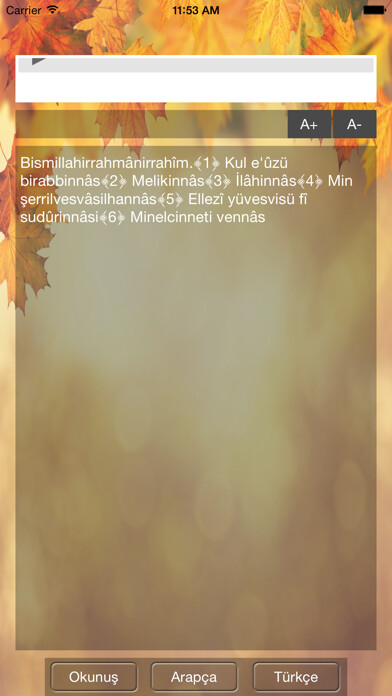 Emulate iPhone app Nas Suresi using MyAndroid