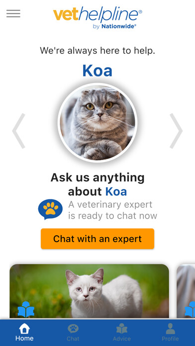 Emulate iPhone app Nationwide Vet Helpline using MyAndroid Emulate iPhone app Nationwide Vet Helpline using MyAndroid
