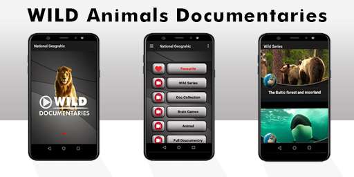 Run android online APK Natural Geographic Latest Documentaries 2020 from MyAndroid or emulate Natural Geographic Latest Documentaries 2020 using MyAndroid Run android online APK Natural Geographic Latest Documentaries 2020 from MyAndroid or emulate Natural Geographic Latest Documentaries 2020 using MyAndroid