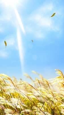Emulate Android APK Natural Reed