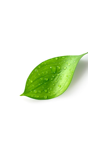 Run android online APK Natural Treatments For Psoriasis from MyAndroid or emulate Natural Treatments For Psoriasis using MyAndroid Run android online APK Natural Treatments For Psoriasis from MyAndroid or emulate Natural Treatments For Psoriasis using MyAndroid