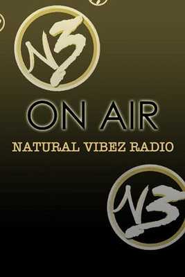 Emulate Android APK Natural Vibez radio