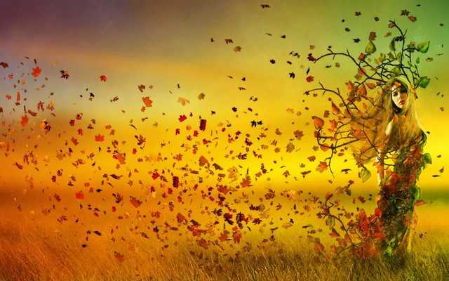 Emulate Android APK Nature 4K Wallpapers