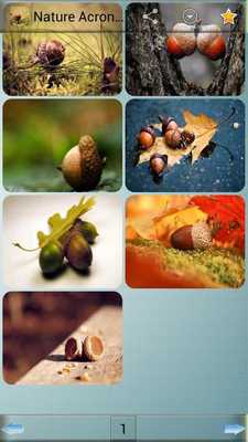 Emulate Android APK Nature Acron Wallpapers