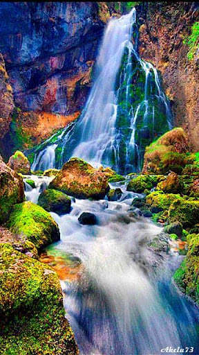 Run android online APK Nature Animated Wallpapers from MyAndroid or emulate Nature Animated Wallpapers using MyAndroid Run android online APK Nature Animated Wallpapers from MyAndroid or emulate Nature Animated Wallpapers using MyAndroid