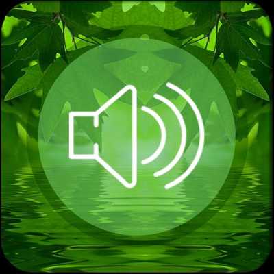 Emulate Android APK Nature Bird Sounds free Emulate Android APK Nature Bird Sounds free