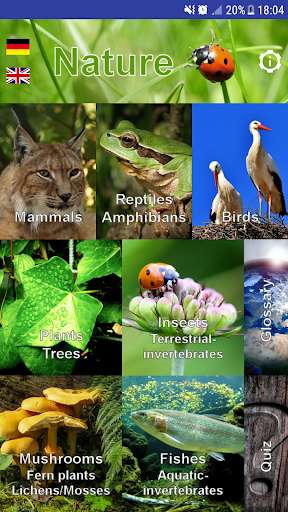 Run android online APK Nature - Europe from MyAndroid or emulate Nature - Europe using MyAndroid