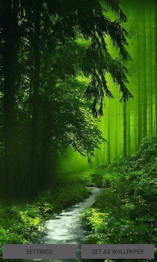 Run android online APK Nature Green Forest LWP from MyAndroid or emulate Nature Green Forest LWP using MyAndroid Run android online APK Nature Green Forest LWP from MyAndroid or emulate Nature Green Forest LWP using MyAndroid