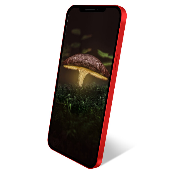 Run android online APK Nature HD 4K Wallpapers 2023 from MyAndroid or emulate Nature HD 4K Wallpapers 2023 using MyAndroid Run android online APK Nature HD 4K Wallpapers 2023 from MyAndroid or emulate Nature HD 4K Wallpapers 2023 using MyAndroid