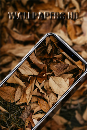 Run android online APK NATURE HD WALLPAPER - NATURE BACKGROUND from MyAndroid or emulate NATURE HD WALLPAPER - NATURE BACKGROUND using MyAndroid