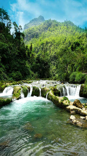Run android online APK Nature Images from MyAndroid or emulate Nature Images using MyAndroid