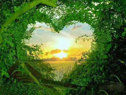 Emulate Android APK Nature Love Images Emulate Android APK Nature Love Images