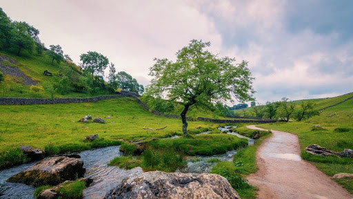 Run android online APK Nature scenes wallpapers from MyAndroid or emulate Nature scenes wallpapers using MyAndroid Run android online APK Nature scenes wallpapers from MyAndroid or emulate Nature scenes wallpapers using MyAndroid