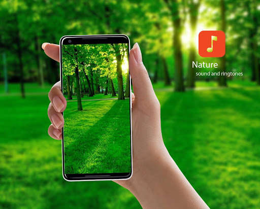 Run android online APK Nature Sound Effects from MyAndroid or emulate Nature Sound Effects using MyAndroid