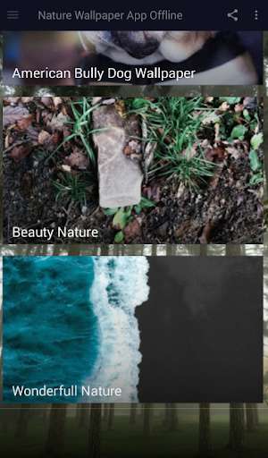 Run android online APK Nature Wallpaper App Offline from MyAndroid or emulate Nature Wallpaper App Offline using MyAndroid