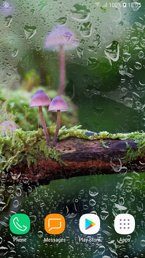Run android online APK Nature Wallpapers & message from MyAndroid or emulate Nature Wallpapers & message using MyAndroid Run android online APK Nature Wallpapers & message from MyAndroid or emulate Nature Wallpapers & message using MyAndroid