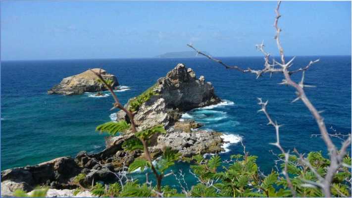 Emulate Android APK Nature World Themes