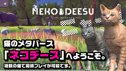 Emulate iPhone app NEKODEESU - Cat Metaverse using MyAndroid Emulate iPhone app NEKODEESU - Cat Metaverse using MyAndroid
