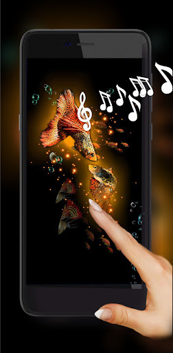 Run android online APK Neon Fishes HD from MyAndroid or emulate Neon Fishes HD using MyAndroid Run android online APK Neon Fishes HD from MyAndroid or emulate Neon Fishes HD using MyAndroid