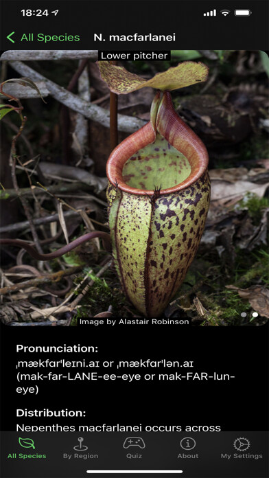 Run android online APK Nepy from MyAndroid or emulate Nepy using MyAndroid Run android online APK Nepy from MyAndroid or emulate Nepy using MyAndroid