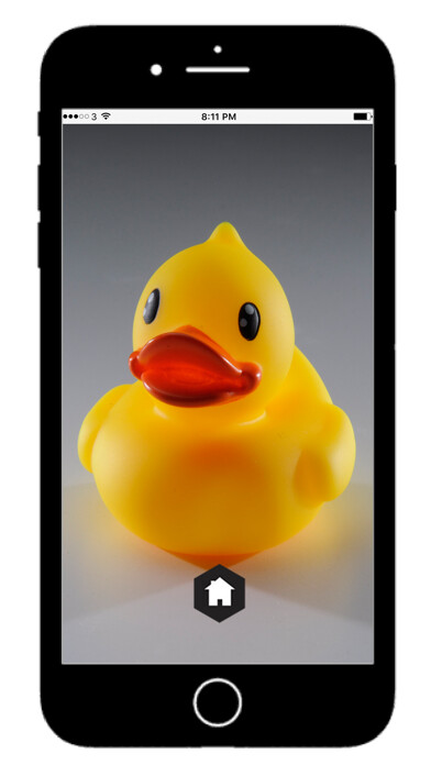 Emulate iPhone app NetCam X Lite using MyAndroid