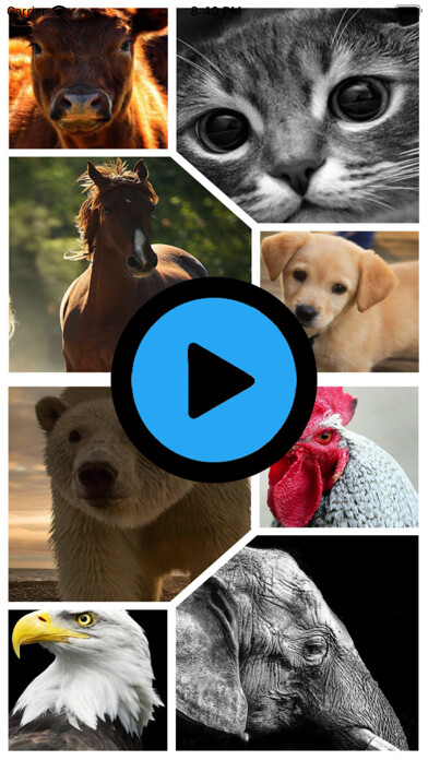 Emulate iPhone app New Animal Sounds HD using MyAndroid Emulate iPhone app New Animal Sounds HD using MyAndroid