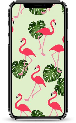 Run android online APK New Cute Flamingo Wallpapers HD from MyAndroid or emulate New Cute Flamingo Wallpapers HD using MyAndroid