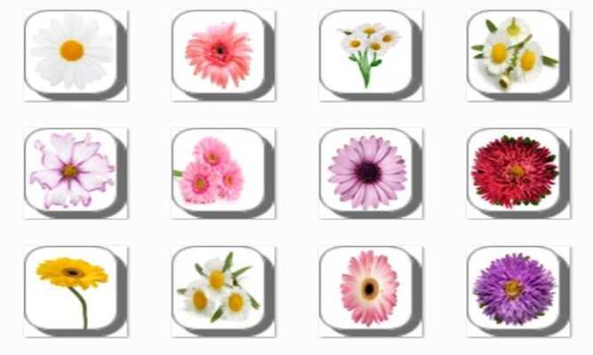 Emulate Android APK New Daisy Flowers Onet Game