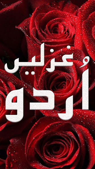 Run android online APK New Urdu Poetry Offline from MyAndroid or emulate New Urdu Poetry Offline using MyAndroid