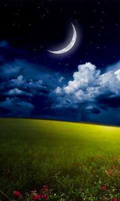 Emulate Android APK Nexus 6P Live Wallpapers Emulate Android APK Nexus 6P Live Wallpapers